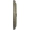 Ekena Millwork Maria Ceiling Medallion (Fits Canopies up to 1 3/4"), 9 5/8"OD x 1 1/8"P, Witch Hazel Crackle CM09MAWHC - alternate 2